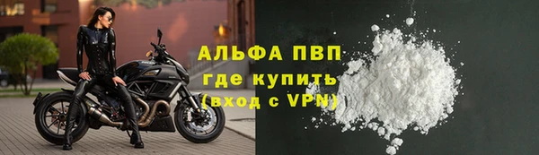ECSTASY Магас