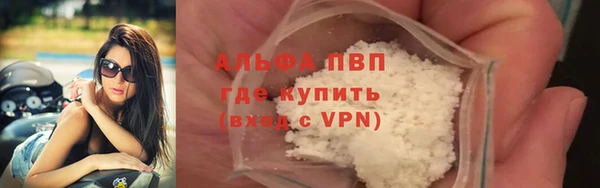 ECSTASY Магас