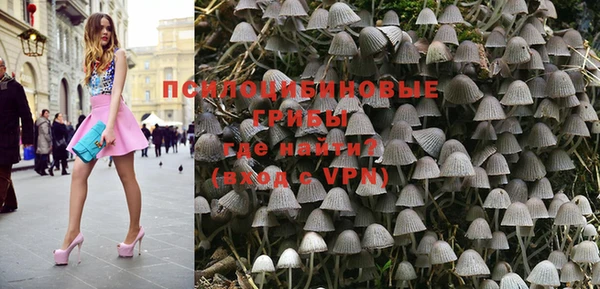 PSILOCYBIN Домодедово