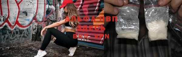ECSTASY Магас
